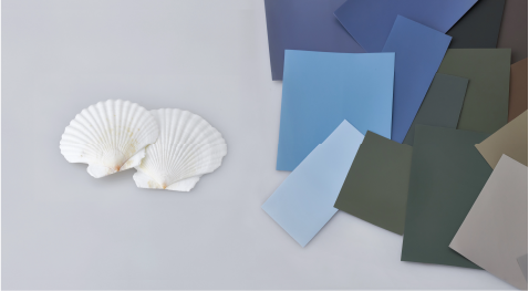 Farbige Architekturfolien neben Muschelschalen 

