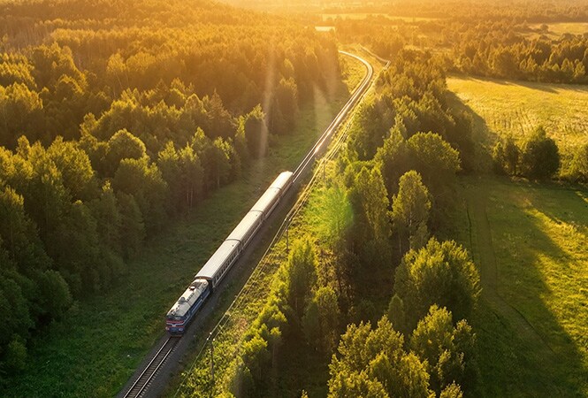 Zug fährt durch einen Wald – Sinnbild für verbesserte Kühlung und Fahrzeugleistung im Schienenverkehr.
