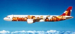 3M aircraft