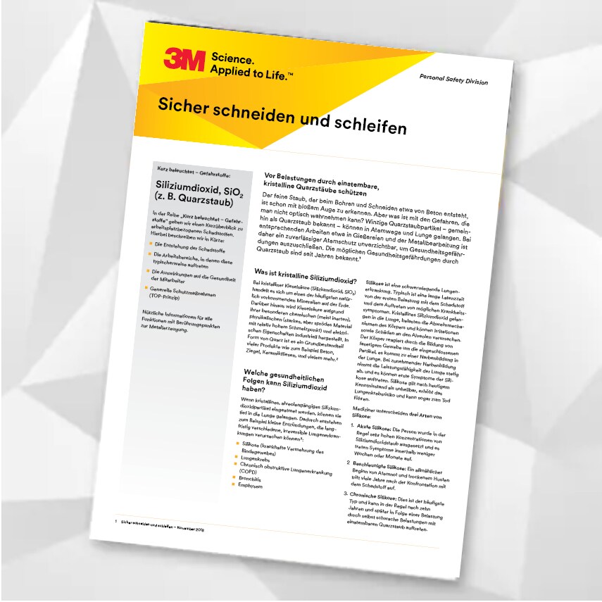 Erste Seite des Whitepapers „Silikatstaub“