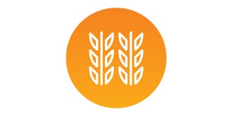Symbol von Getreide
