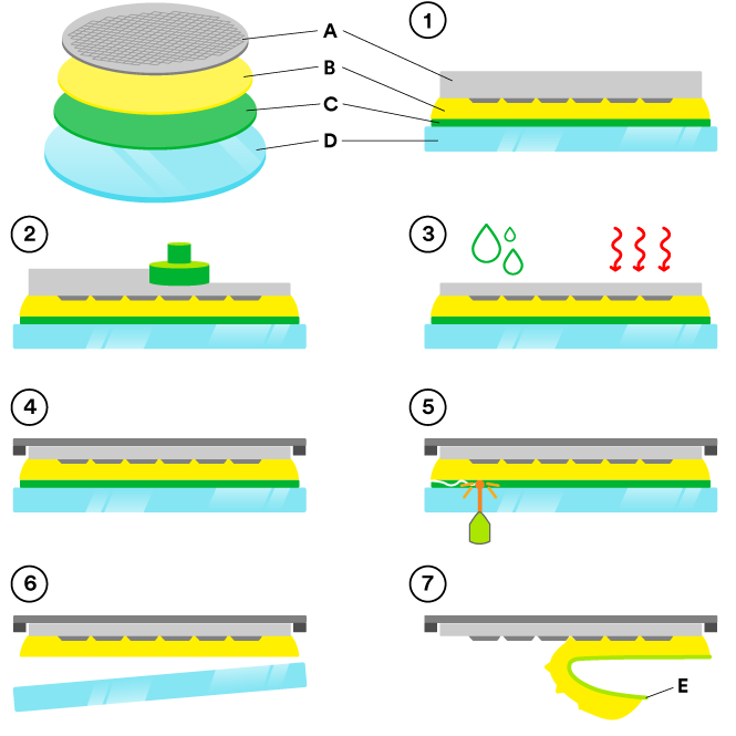 Grafik, die Schritt für Schritt den temporären Verbindungs- und Ablösungsprozess von 3M für das 3M Wafer Support System zeigt.
