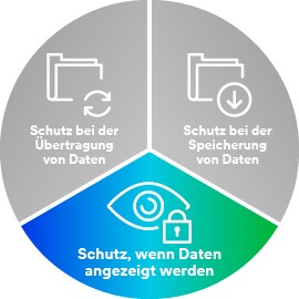 Kreisdiagramm mit Symbolen, die Datenübertragung, -speicherung und -anzeige darstellen
