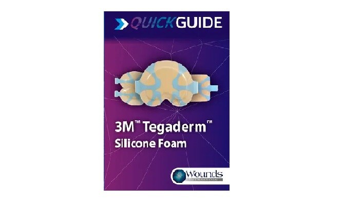 3m-wint tegaderm silicone foam dressings quick guide
