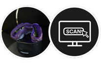 Integriert sich mühelos in Ihren CAD/CAM-Workflow.
