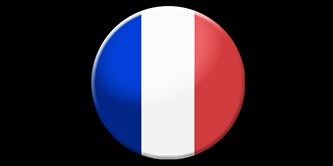 French flag
