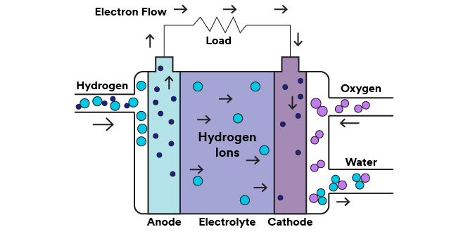 Schematische Darstellung der Funktionsweise einer PEM-Brennstoffzelle.
